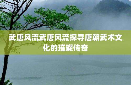 武唐风流武唐风流探寻唐朝武术文化的璀璨传奇