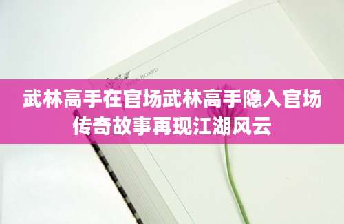 武林高手在官场武林高手隐入官场传奇故事再现江湖风云