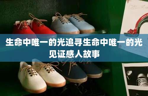 生命中唯一的光追寻生命中唯一的光见证感人故事