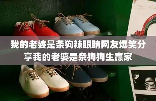 我的老婆是条狗辣眼睛网友爆笑分享我的老婆是条狗狗生赢家