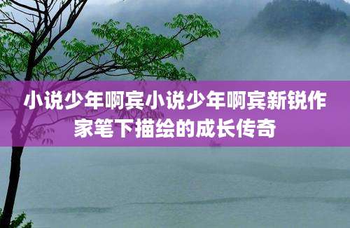 小说少年啊宾小说少年啊宾新锐作家笔下描绘的成长传奇