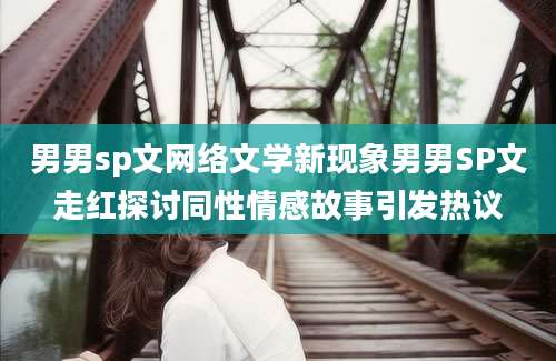男男sp文网络文学新现象男男SP文走红探讨同性情感故事引发热议