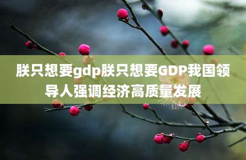 朕只想要gdp朕只想要GDP我国领导人强调经济高质量发展
