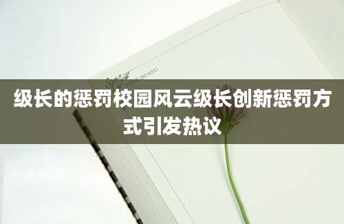 级长的惩罚校园风云级长创新惩罚方式引发热议