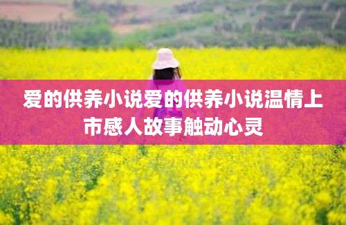 爱的供养小说爱的供养小说温情上市感人故事触动心灵