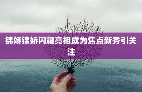 锦娇锦娇闪耀亮相成为焦点新秀引关注
