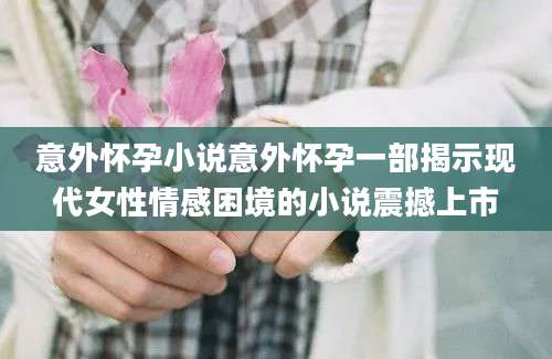 意外怀孕小说意外怀孕一部揭示现代女性情感困境的小说震撼上市