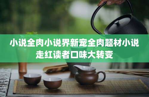 小说全肉小说界新宠全肉题材小说走红读者口味大转变