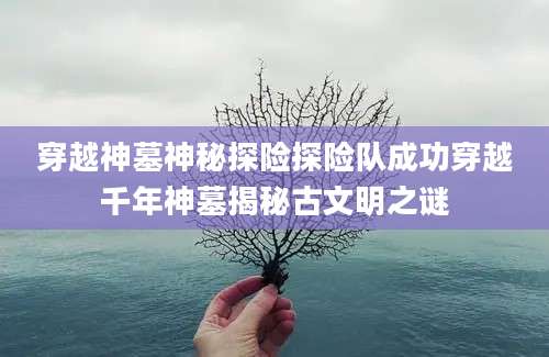 穿越神墓神秘探险探险队成功穿越千年神墓揭秘古文明之谜