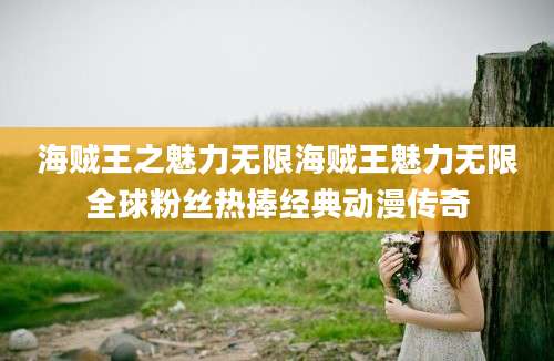 海贼王之魅力无限海贼王魅力无限全球粉丝热捧经典动漫传奇