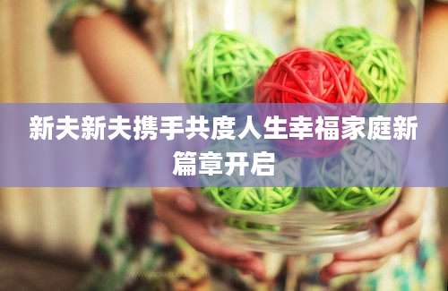 新夫新夫携手共度人生幸福家庭新篇章开启