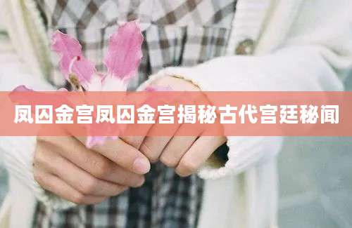 凤囚金宫凤囚金宫揭秘古代宫廷秘闻
