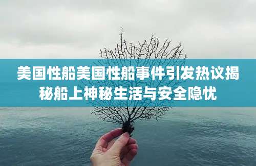 美国性船美国性船事件引发热议揭秘船上神秘生活与安全隐忧