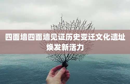 四面墙四面墙见证历史变迁文化遗址焕发新活力