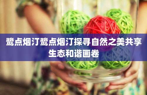 鹭点烟汀鹭点烟汀探寻自然之美共享生态和谐画卷