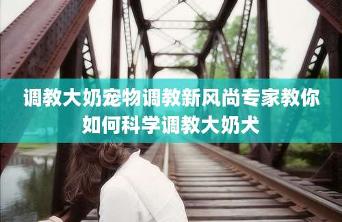调教大奶宠物调教新风尚专家教你如何科学调教大奶犬