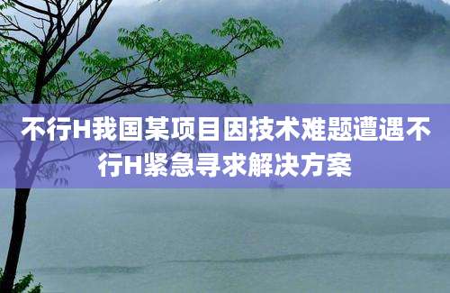不行H我国某项目因技术难题遭遇不行H紧急寻求解决方案