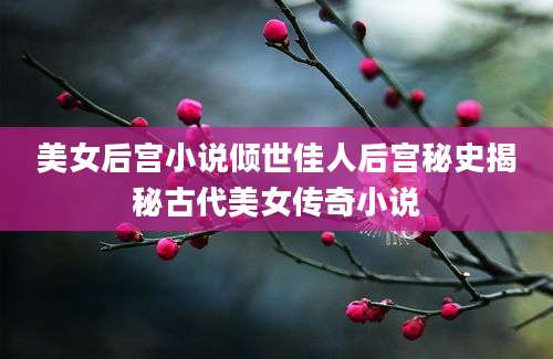 美女后宫小说倾世佳人后宫秘史揭秘古代美女传奇小说