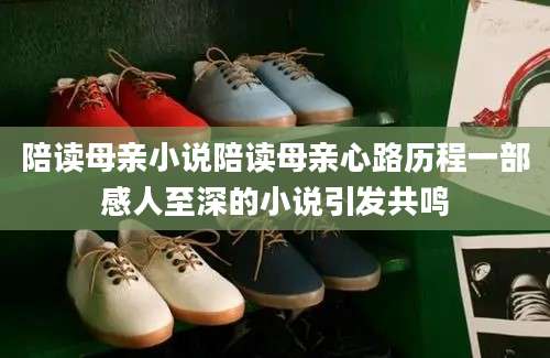 陪读母亲小说陪读母亲心路历程一部感人至深的小说引发共鸣