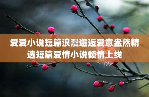 爱爱小说短篇浪漫邂逅爱意盎然精选短篇爱情小说倾情上线