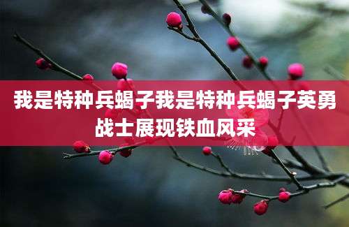 我是特种兵蝎子我是特种兵蝎子英勇战士展现铁血风采