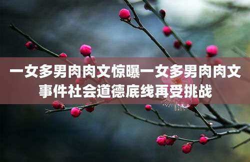 一女多男肉肉文惊曝一女多男肉肉文事件社会道德底线再受挑战