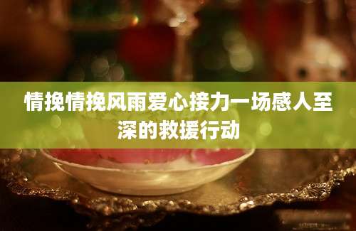 情挽情挽风雨爱心接力一场感人至深的救援行动