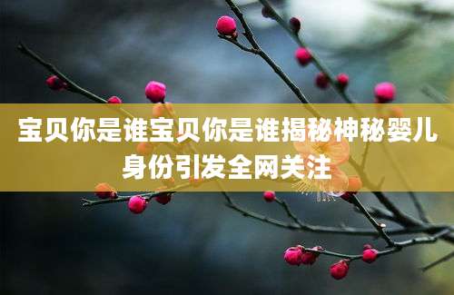 宝贝你是谁宝贝你是谁揭秘神秘婴儿身份引发全网关注