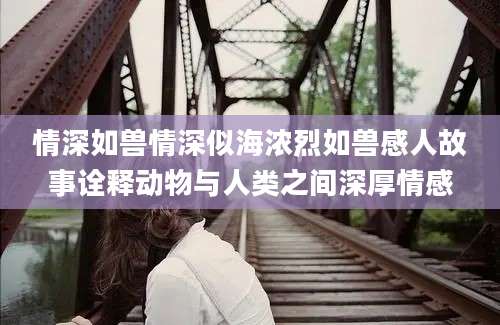 情深如兽情深似海浓烈如兽感人故事诠释动物与人类之间深厚情感