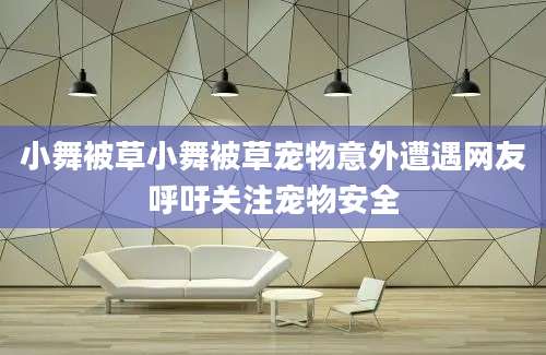 小舞被草小舞被草宠物意外遭遇网友呼吁关注宠物安全