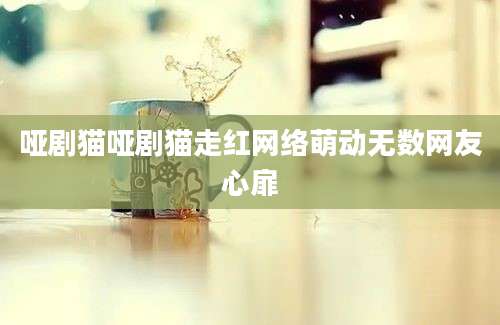 哑剧猫哑剧猫走红网络萌动无数网友心扉
