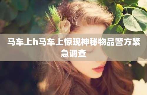 马车上h马车上惊现神秘物品警方紧急调查