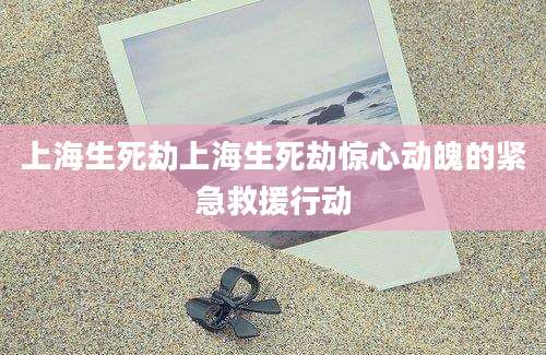 上海生死劫上海生死劫惊心动魄的紧急救援行动