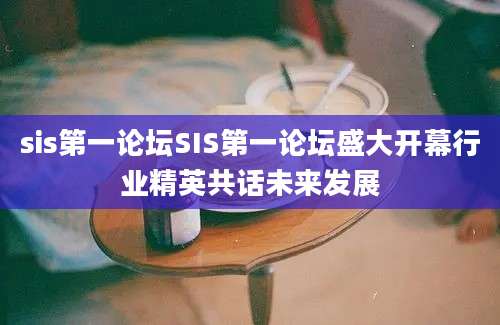 sis第一论坛SIS第一论坛盛大开幕行业精英共话未来发展