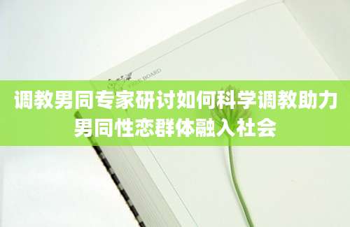 调教男同专家研讨如何科学调教助力男同性恋群体融入社会