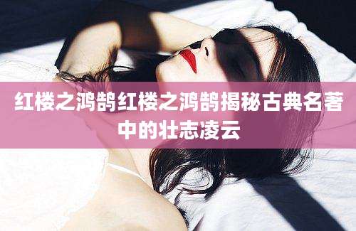 红楼之鸿鹄红楼之鸿鹄揭秘古典名著中的壮志凌云