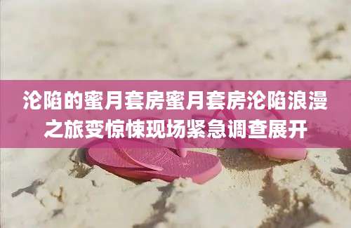 沦陷的蜜月套房蜜月套房沦陷浪漫之旅变惊悚现场紧急调查展开