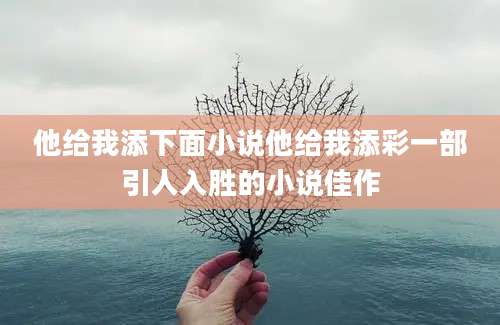 他给我添下面小说他给我添彩一部引人入胜的小说佳作