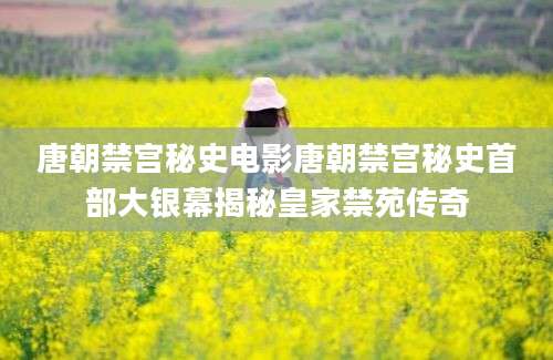 唐朝禁宫秘史电影唐朝禁宫秘史首部大银幕揭秘皇家禁苑传奇