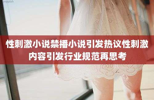 性刺激小说禁播小说引发热议性刺激内容引发行业规范再思考