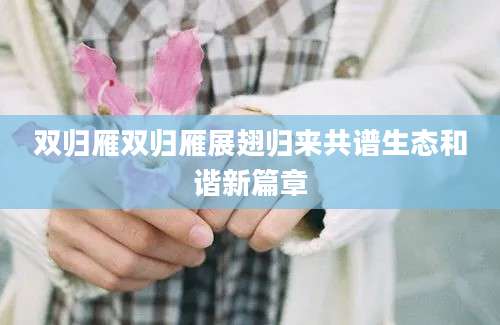 双归雁双归雁展翅归来共谱生态和谐新篇章