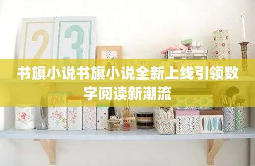 书旗小说书旗小说全新上线引领数字阅读新潮流