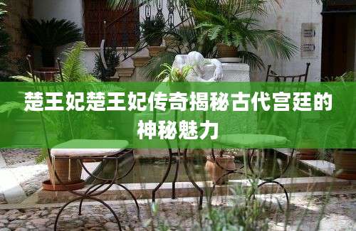 楚王妃楚王妃传奇揭秘古代宫廷的神秘魅力