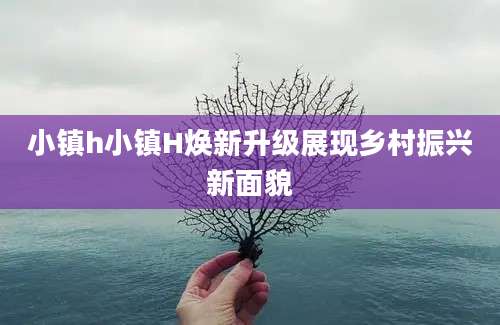 小镇h小镇H焕新升级展现乡村振兴新面貌