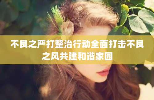 不良之严打整治行动全面打击不良之风共建和谐家园