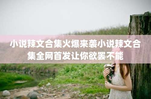 小说辣文合集火爆来袭小说辣文合集全网首发让你欲罢不能