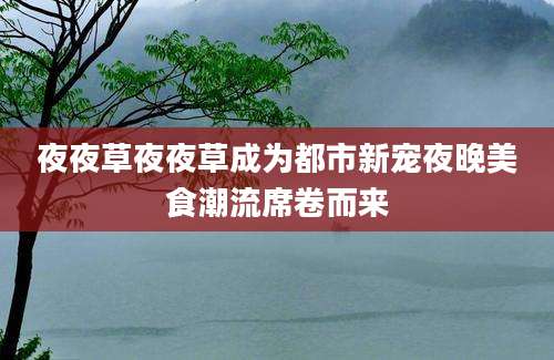 夜夜草夜夜草成为都市新宠夜晚美食潮流席卷而来