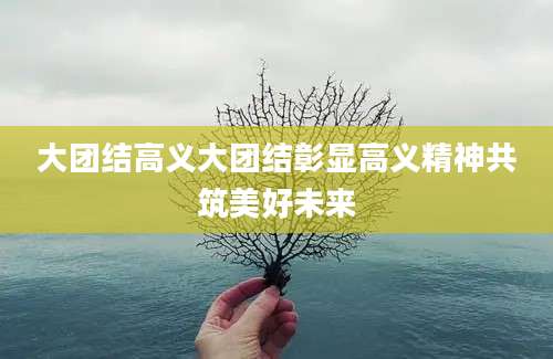 大团结高义大团结彰显高义精神共筑美好未来