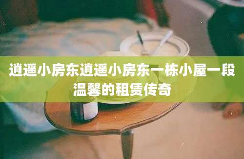 逍遥小房东逍遥小房东一栋小屋一段温馨的租赁传奇