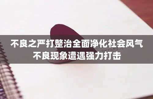 不良之严打整治全面净化社会风气不良现象遭遇强力打击